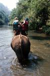 Elephant Ride - Going Up River, Elephant Park, Thailand