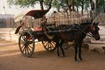 Local Taxi (Pony Cart), Pagan, Burma