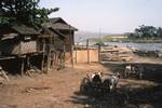 Houses, Bullocks & Logs at River Irrawaddy, Mandalay, Burma