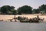 Loading Boat at Shore, Bullocks, Mingun, Burma