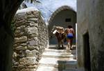 Old Town - Man & Donkey, Naxos, Greece