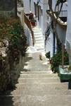 Old Town - Alley, Flowers & Ginger Cat, Naxos, Greece