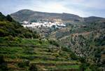 From Bus - Hill Villages & Terracing, Naxos, Greece