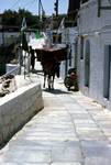 Donkey Carrying Sideboard, Santorini - Oia, Greece