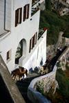 Mule Track from Harbour, Santorini - Oia, Greece