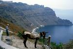 Bay, Donkey & Man, Santorini - Thirasia, Greece
