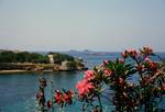 View from Hotel Nikolas, Oleanders, Paros, Greece