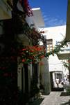 Naousa - Street Near Square, Geraniums, Paros, Greece