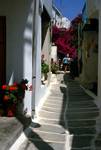 Naousa - Street Near Square, Bougainvillea, Paros, Greece
