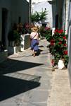 Naousa - Street, Flowers, Sally, Paros, Greece
