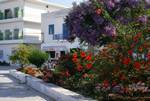 Pareikia - The Square - Jacaranda & Hibiscus, Paros, Greece