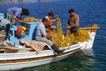 Pareikia - Fishermen with Nets, Paros, Greece