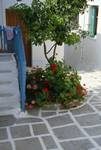 Street Corner - Steps & Flowers, Paros, Greece