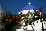 Pareikia - Blue Dome & Apricot Flowers, Paros, Greece