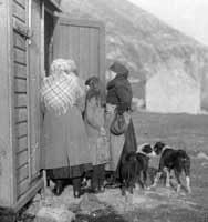 Collecting Letters from the Post Office, St Kilda