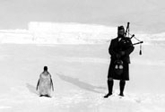 Piper Kerr and Emperor penguin