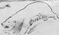 Detail from W.G. Burn Murdoch cartoon on glass of polar bear chasing a piper